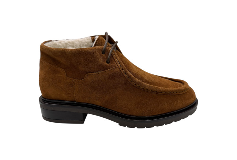 ZAPATO ABOTINADO CORDONES